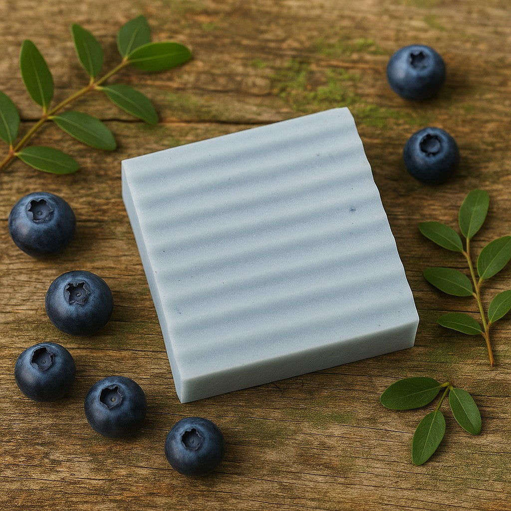 Blueberry Harvest