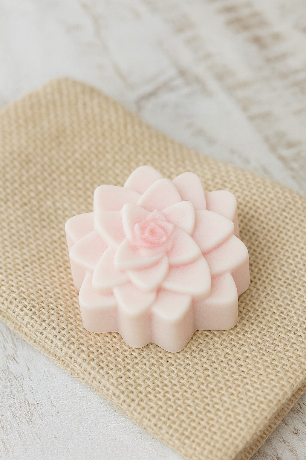 Morning Blossom -Strawberry & Coffee